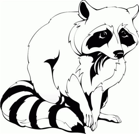 Click on the coloring page to open in a new window and print. Raccoon | Camping coloring pages, Clip art pictures