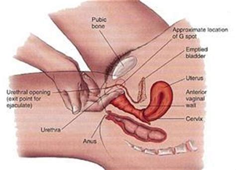 Please ensure that your and/or. Yoni Massage & Vaginal Therapy | Women's Health Wednesday ...