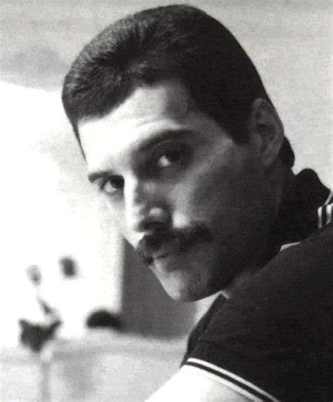 Queen freddie mercury freddie mercury mustache freddie mercury quotes ozzy osbourne fred mercury rock bands freddie mercuri foto face we will rock you. That handsome face | Freddie mercury, Queen freddie mercury