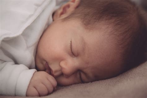 Read on for 15 things to know about the u.s. Sleeping Baby Free Stock Photo - Public Domain Pictures