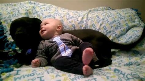 Rolling on the floor laughing at the dog. Adorable baby laughing at dog wagging tail! - YouTube