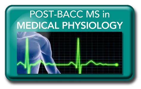 I am often asked whether it is better to do a diy (do it yourself) post bacc plan, or enroll. Post-Baccalaureate Program MS in Medical Physiology | Physiology, School of medicine ...