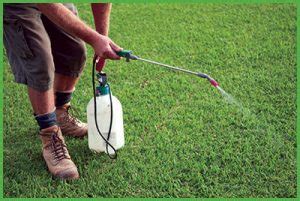 All types of herbicides, insecticides, fungicides, fertilizer/pesticide combinations. Your lawn care tools checklist - Harden Park Lawns