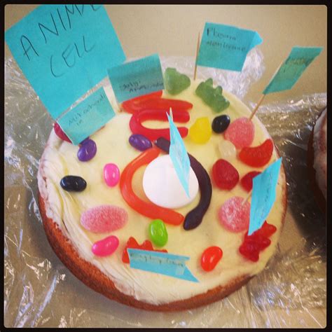 (i've also made a plant cell model which pairs well with this demonstration, so stay tuned! Making models of animal cells with cakes and lollies! Why ...