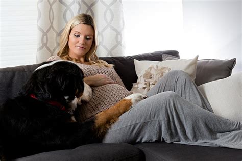 Panda the cat took a liking to her owner's pregnant belly. Can Dogs Sense Pregnancy? How Early Can a Dog Sense Pregnancy?