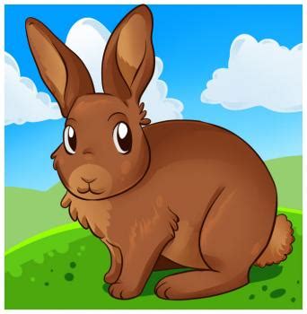 Collection de dessins de lapins à colorier pour pâques. dessin à imprimer: Dessin De Lapin En Couleur A Imprimer