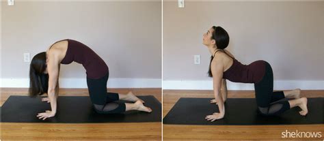 In the seated option, instead of weight bearing through the shoulders and when you move slowly and mindfully between cat and cow pose, you can practice moving segmentally through the spine, imaging you are moving. 9 Yoga poses to help with holiday stress - SheKnows