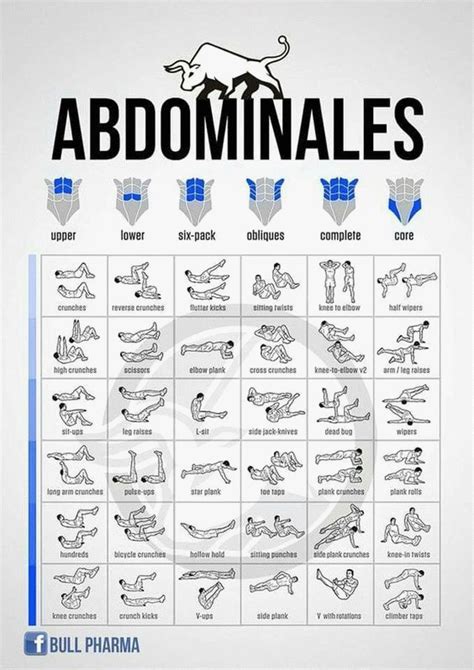 Namey on name of ab muscles: exercices abdos : Vous voulez tonifier votre abdo… en 2020 ...