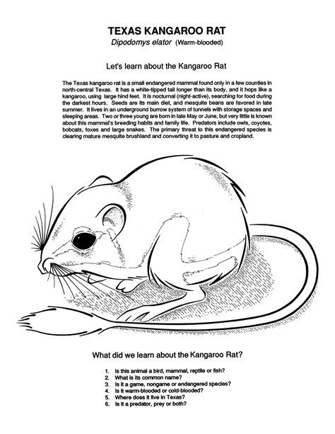 Maybe you would like to learn more about one of these? Texas Wildlife Coloring Book - Page 7 of 8 - The Portal to ...