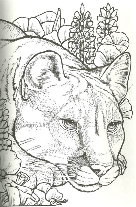 Pin by melissa faulkner on holidays. Jungle Cougar Coloring Pages - Tripafethna