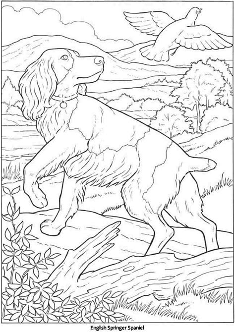 English springer spaniel coloring page free printable coloring pages tuesday, february 12, 2019 add comment edit. Pin by Eden Whited on coloring and fill (With images ...