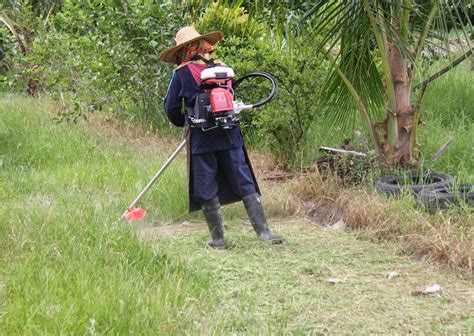 Mesin potong rumput dibedakan menjadi tiga tipe, yaitu manual, elektrik, dan mesin. SantaiD'Rimba: Mesin Potong Rumput