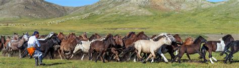 Mongolian nomads do not waste animal products. Nomad lifestyle