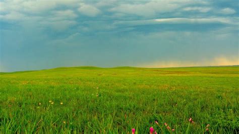 Tallgrass Prairie National Preserve, KS - National Park Trust