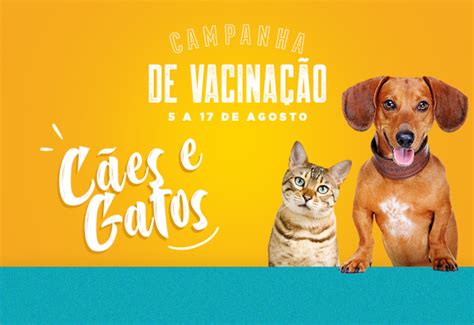 Ele é necessário porque alguns países exigem o documento para a entrada em seu território. Campanha de Vacinação para Cães e Gatos inicia hoje (5) em ...