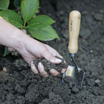 Gestaltungsideen fuer einen swimmingpool mein schoener garten. Gartenplanung: Anleitungen, Tipps und Tricks - Mein ...