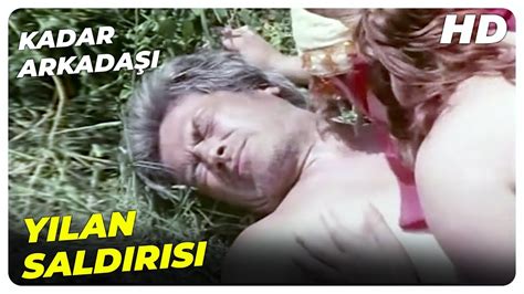 Elazığ'da 5 köy okuluna bilgisayar laboratuvarı. Kader Arkadaşı - Hasan'ın Karısı Zeliha, Yusuf'a Sahip Oldu! | Cüneyt Arkın Eski Türk Filmi ...