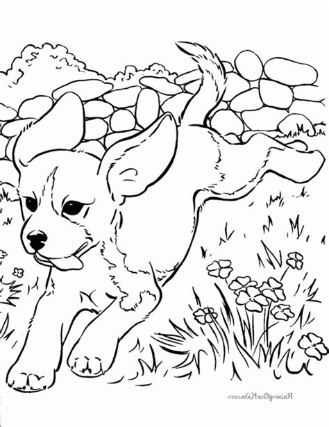 Pour les plus petits vous pouvez imprimer une seule planche de ce memory des animaux, pour simplifier le jeu. Coloriage a imprimer gratuit chiens - 1001 Animaux