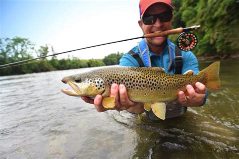 Best Fly Rods for Trout (2021 Buyer's Guide) - Into Fly ...