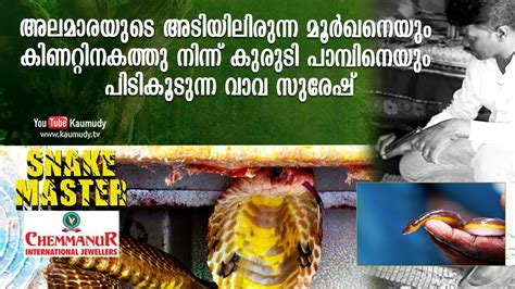 ▶ king cobra live attack vava suresh in kerala. Vava Suresh catches a rare Brahminy blind snake from a ...