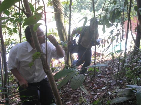 Untuk itu, semua tanah yang belum sertifikat, seperti tanah girik perlu didaftarkan konversi haknya ke kantor pertanahan setempat. myfamily: Lawatan Kerja ayah ke Tapak Tanah Runtuh Rumah ...