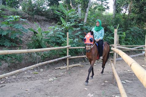 Masuk lebih kedalam istana wisata maimun yang. Villa Ternak Cikerai, Wisata Alam dan Edukasi