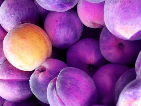 The first written use of peach as a color name in english was in 1588. Purple Peach | Nature color palette, Blog colors, Summer ...