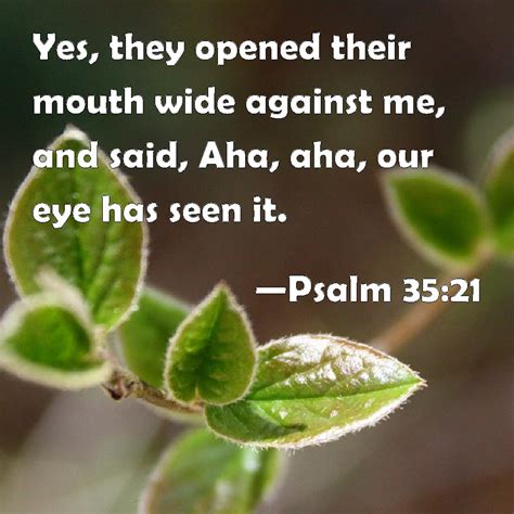 6 faces and 8 vertices. Psalm 35:21 Yes, they opened their mouth wide against me ...