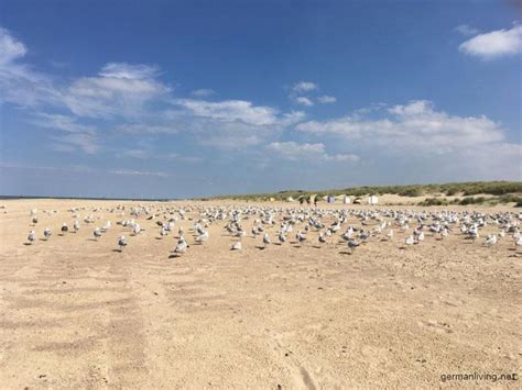 The strand vrouwenpolder car park can be found nearby the jan schrieks bakery, 144 feet from the. Spaziergang am Strand bei Vrouwenpolder