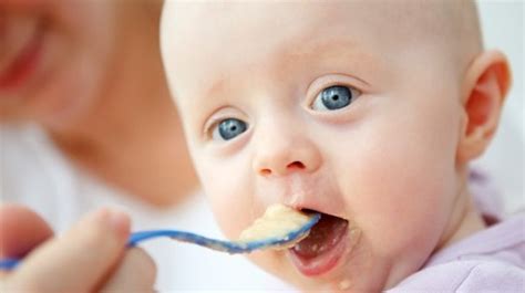 Saat bayi sudah menginjak umur 1 tahun, biasanya sudah diberi makanan pendamping asi (mpasi). 3 Makanan Pendukung ASI Untuk Bayi Usia 1 Tahun - Info Bumil