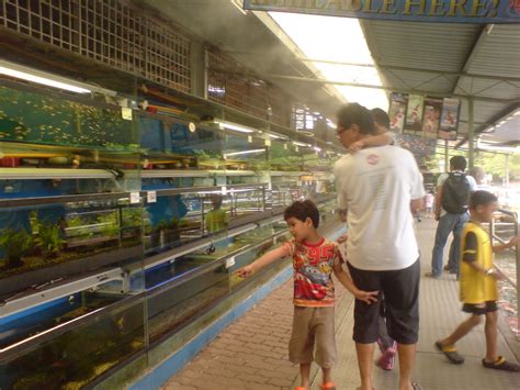 Inovasi aquarium beralamat dijalan bukit barisan pekanbaru. BE SIMPLE BEB: Aquarium Shah Alam