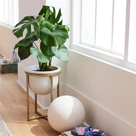 Made from metal in a brass finish, it's west elm is a homeware brand hailing from brooklyn, new york, founded in 2002 to bridge the gap between choice, community and consciousness. Eden Cross Base Standing Planter - Brass