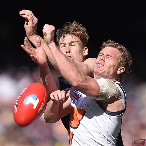 Maybe you would like to learn more about one of these? Richmond vs GWS, Grand Final, 2019, MCG | AFANA