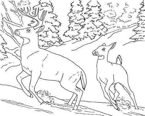 You can use our amazing online tool to color and edit the following realistic deer coloring pages. Winter Animal Coloring Pages - GetColoringPages.com