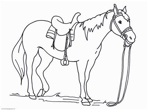 By samantha bee tuesday, september 10, 2019. Free Printable Coloring Page Horse Great - Coloring Pages ...