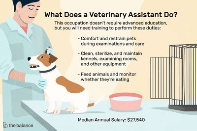 What is the job description of a cna? Pet Sitter Job Description: Salary, Skills, & More (With ...