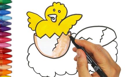 Gambar mewarnai untuk anak paud, tk dan sd sebagai contoh cara menggambar dan mewarnai. Mewarnai Ayam Betina Dan Anaknya - GAMBAR MEWARNAI HD
