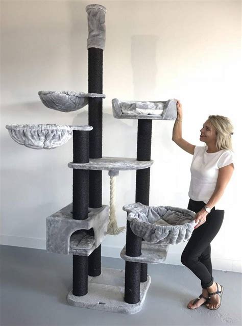 Super large floor to ceiling cat climbing tree cat scratch post pet supplies furniture. Floor To Ceiling Cat Trees | LOWEST PRICES | FREE DELIVERY ...