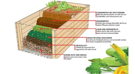 Dadurch wird unter anderem die schimmelbildung gefördert. Drainage fürs Hochbeet | selbst.de | Hochbeet, Hochbeet ...