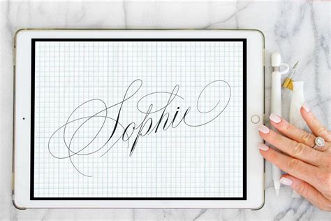 Procreate Calligraphy Brush Sophie | Procreate calligraphy, Procreate brushes free, Procreate ...