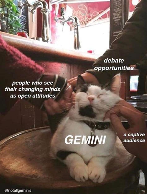 Who you see and think you know at first site will not 9 times out of 10 be the person they really are. Astrology Memes | Zodiac signs gemini, Horoscope gemini ...