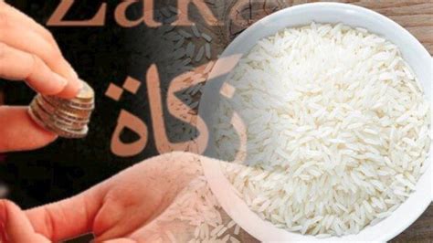 Zakat fitrah wajib ditunaikan bagi setiap jiwa, dengan syarat beragama islam, hidup pada saat bulan ramadhan, dan memiliki kelebihan rezeki atau kebutuhan pokok untuk malam dan hari raya idul fitri. LENGKAP Bacaan Niat Zakat Fitrah untuk Diri Sendiri, Istri ...