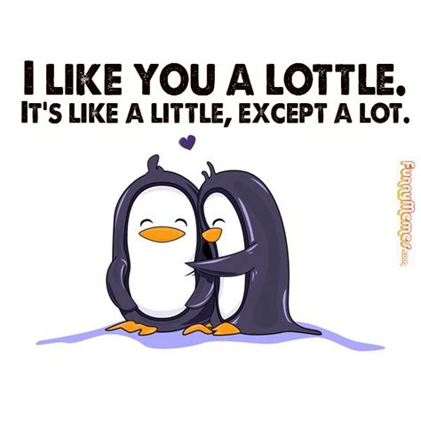 Penguins mate for life and can represent devotion. FunnyMemes.com • Animal memes - I like you a lottle ...