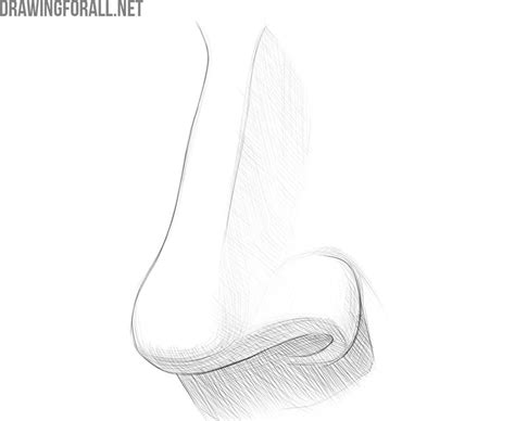 The ultimate guide for beginners learning how to or at least how i draw faces especial. How to Draw a Nose From 3/4 View | Drawingforall.net