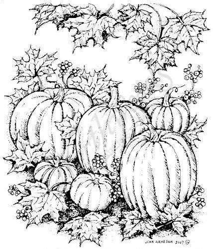 122kb, pumpkin leaf drawing picture with tags: drawings of pumpkins and leaves | Pumpkin Leaf Drawing ...