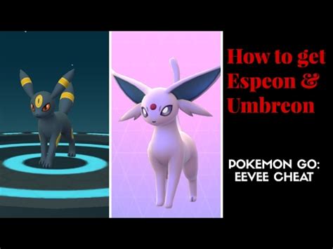 Have you collected eevee in pokemon go, but don't know how to evolve it? Pokemon Go: How to Get Espeon & Umbreon (Eevee Cheat ...