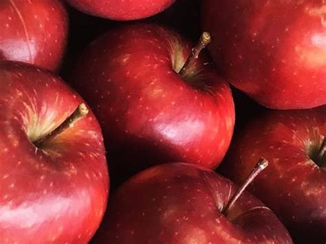 Maybe you would like to learn more about one of these? Tesco launches Red Prince apple that 'brings forward ...