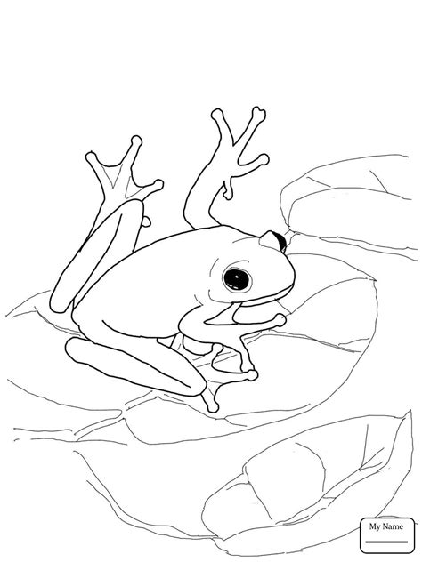 Coloring pages for kids frogs coloring pages. Bullfrog Coloring Page at GetColorings.com | Free ...