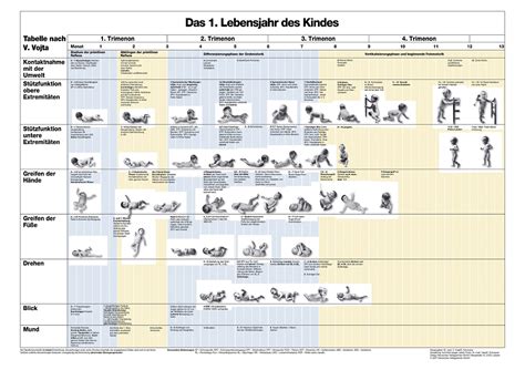 Im projekt modifizierung und erweiterung broschüre kuno bellers entwicklungstabelle (nicht mehr lieferbar). Das 1. Lebensjahr des Kindes (Poster) | Hansisches ...