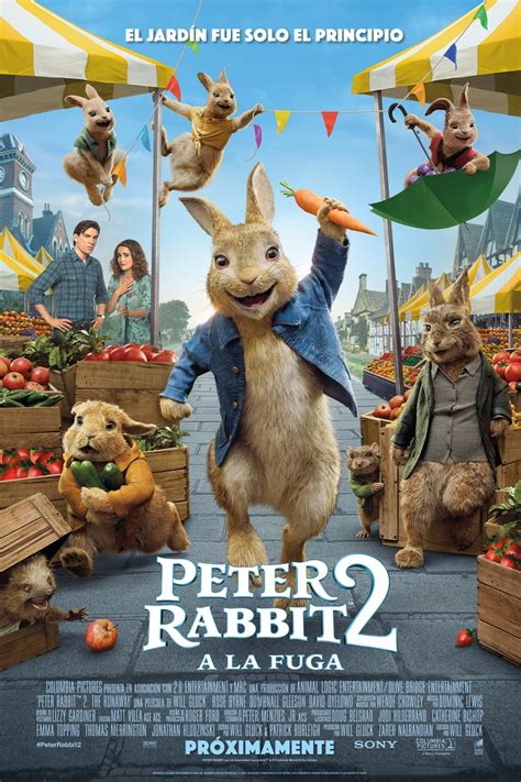 The sequel to the 2018 film, 'peter rabbit'. ᐈ Peter Rabbit 2: A la fuga Pelicula Completa Español ...